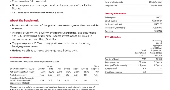 BNDX: Vanguard Total International Bond Index Fund