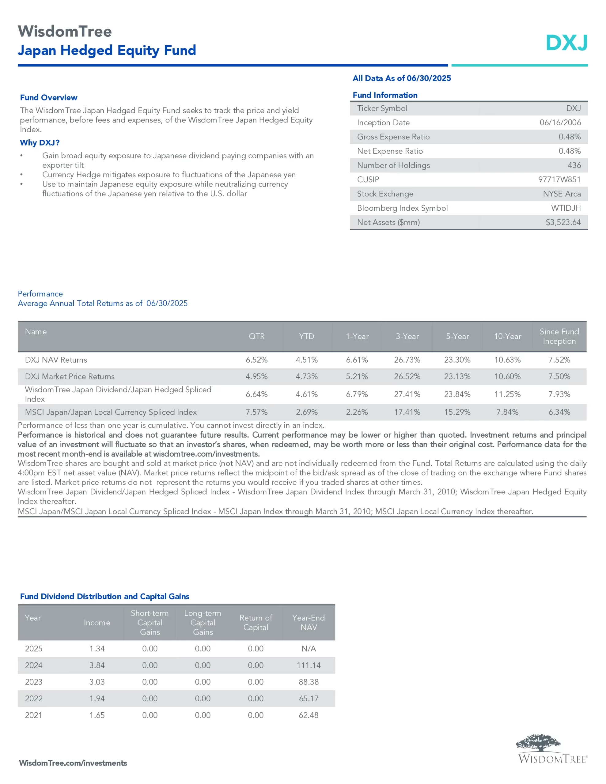 DXJ ETF Review: WisdomTree Japan Hedged Equity Fund