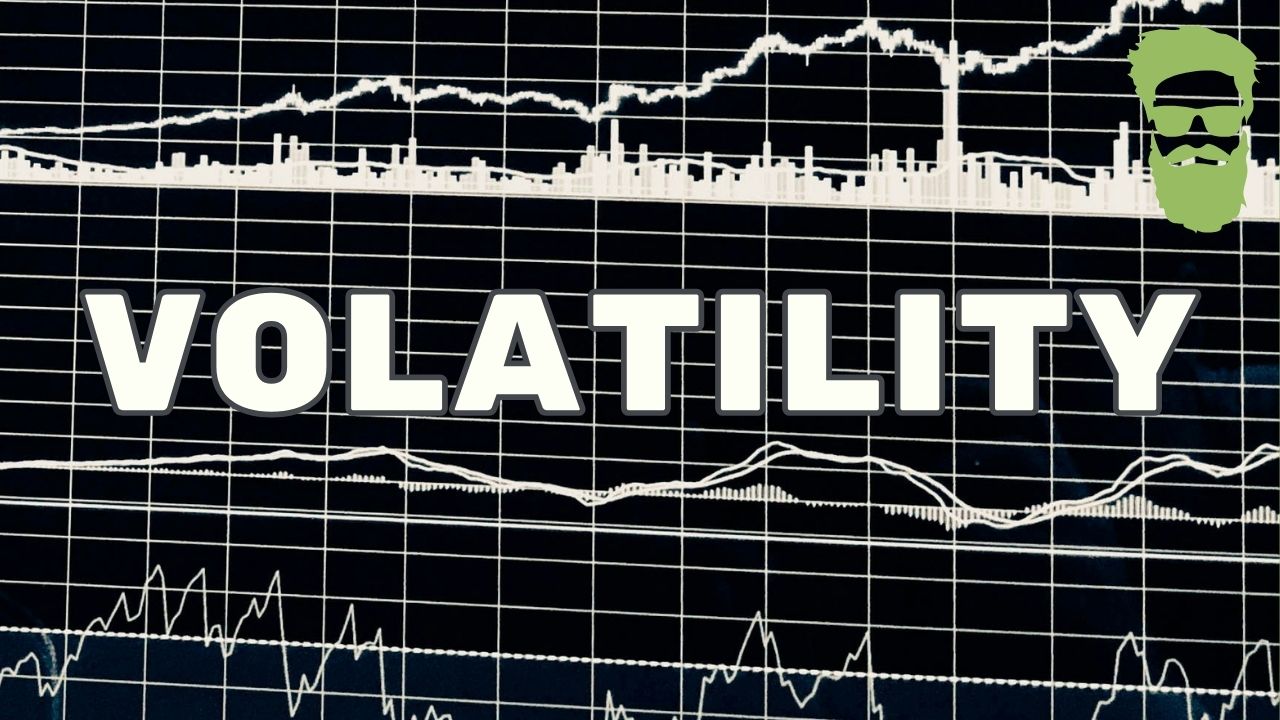 Understanding Volatility in the Stock Market